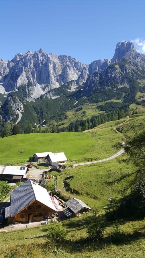 Appartement Leh Annaberg im Lammertal Exterior photo